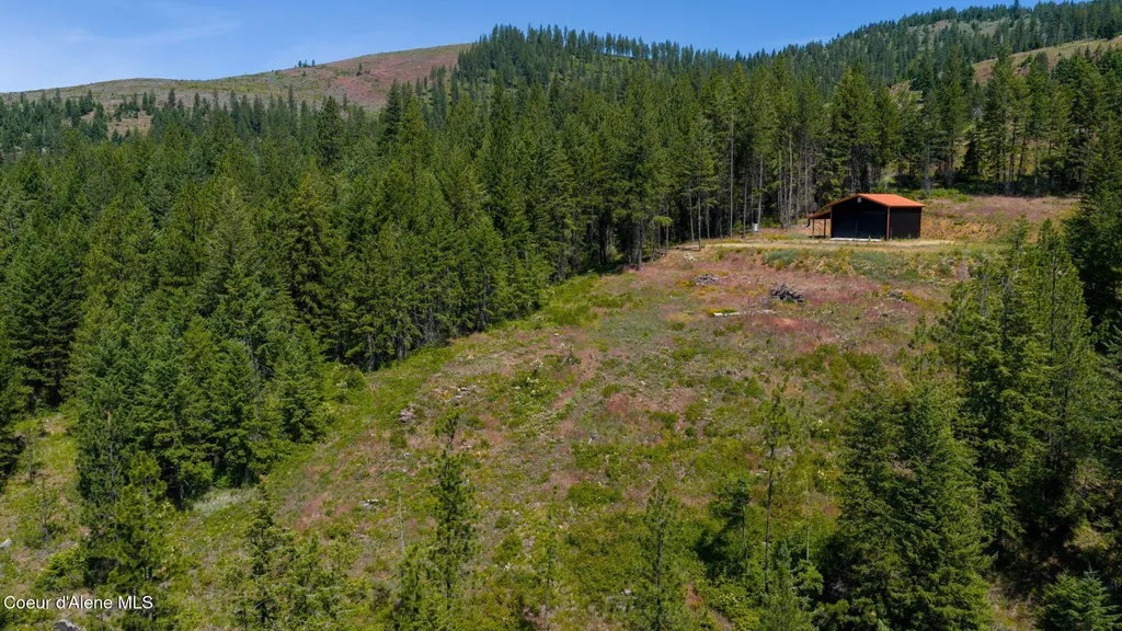2089 Tower Mountain Road Blanchard ID 83804