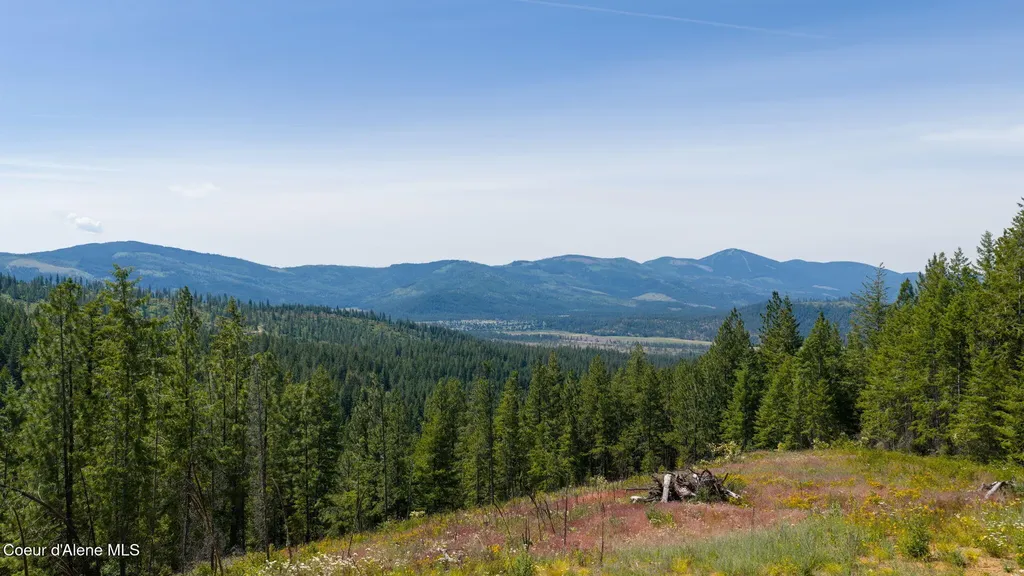 2089 Tower Mountain Road Blanchard ID 83804