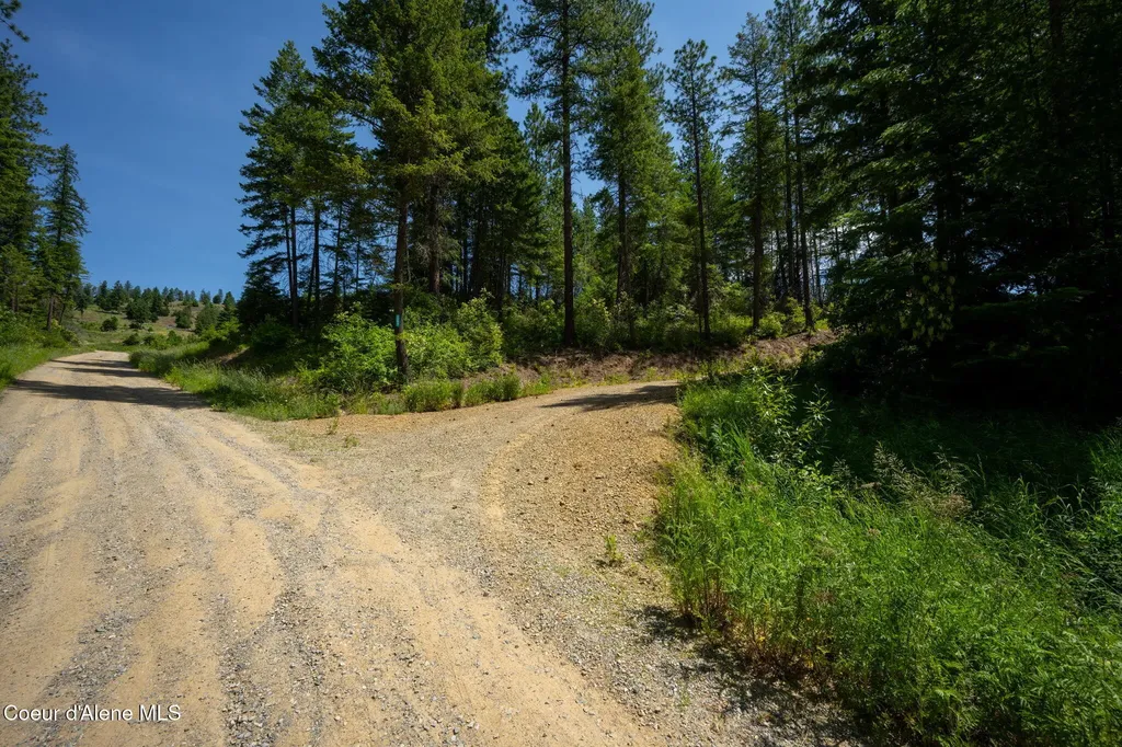 2089 Tower Mountain Road Blanchard ID 83804
