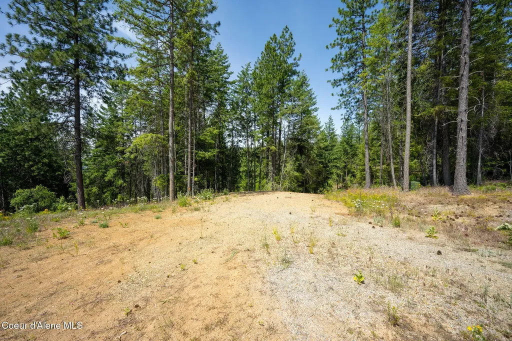 2089 Tower Mountain Road Blanchard ID 83804