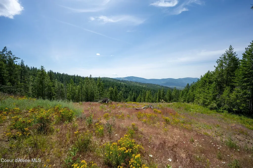 2089 Tower Mountain Road Blanchard ID 83804