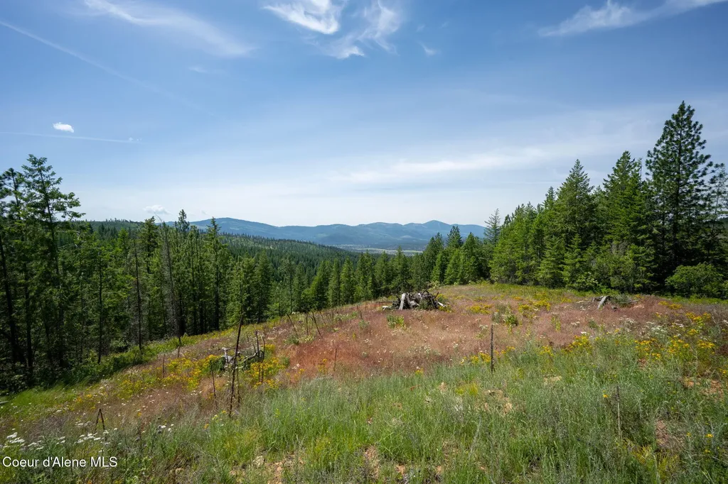 2089 Tower Mountain Road Blanchard ID 83804
