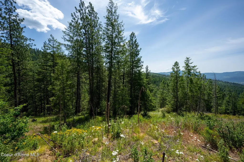 2089 Tower Mountain Road Blanchard ID 83804