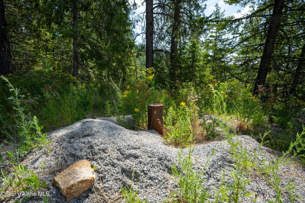 2089 Tower Mountain Road Blanchard ID 83804