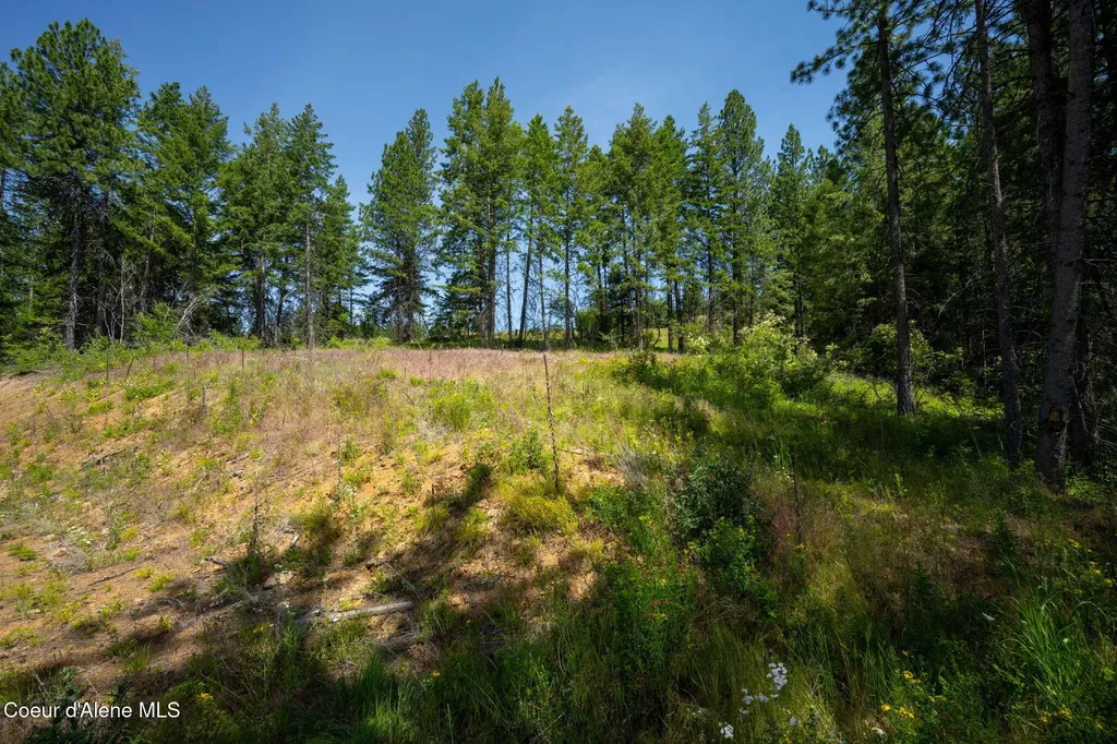 2089 Tower Mountain Road Blanchard ID 83804