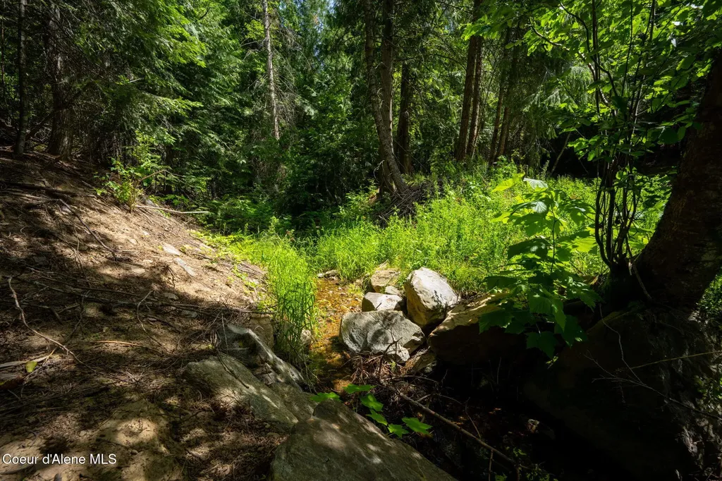 2089 Tower Mountain Road Blanchard ID 83804