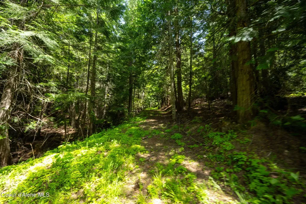 2089 Tower Mountain Road Blanchard ID 83804