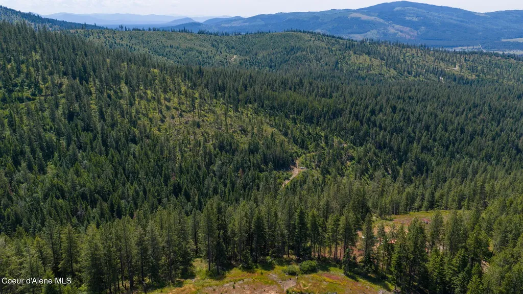 2089 Tower Mountain Road Blanchard ID 83804