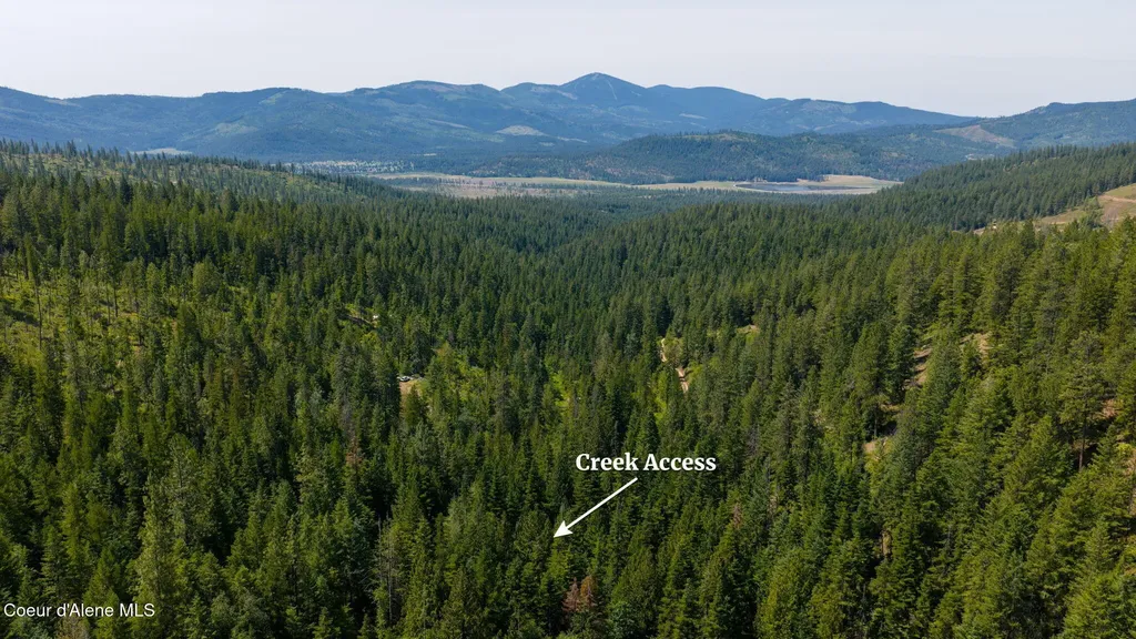 2089 Tower Mountain Road Blanchard ID 83804