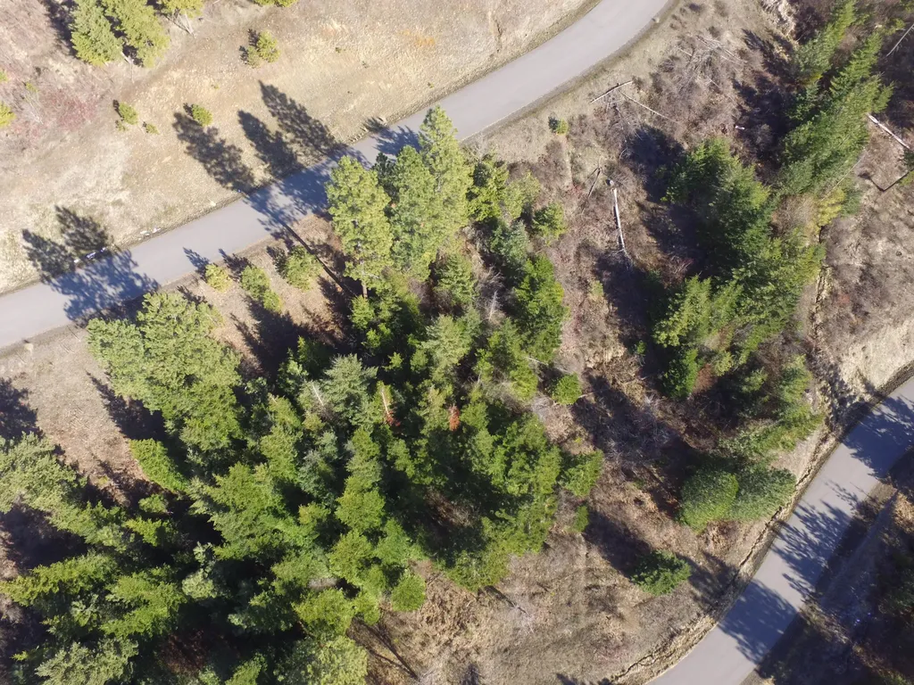 L135 E Echo Canyon Court Harrison ID 83833