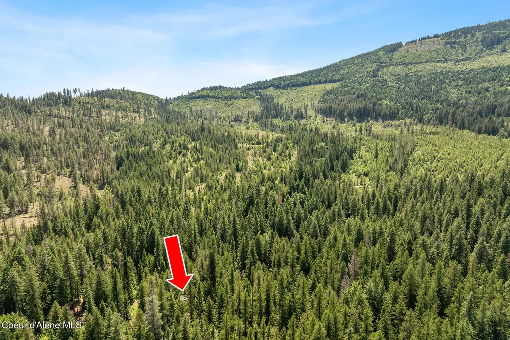 6877 W Lower Excelsior Beach Shore Rathdrum ID 83858