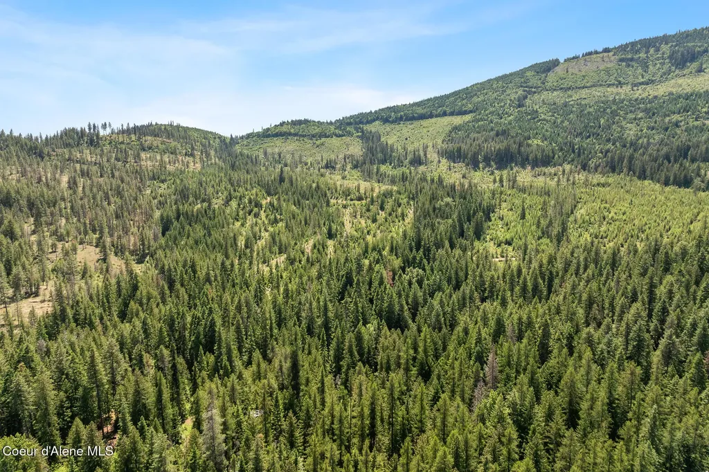 6877 W Lower Excelsior Beach Shore Rathdrum ID 83858