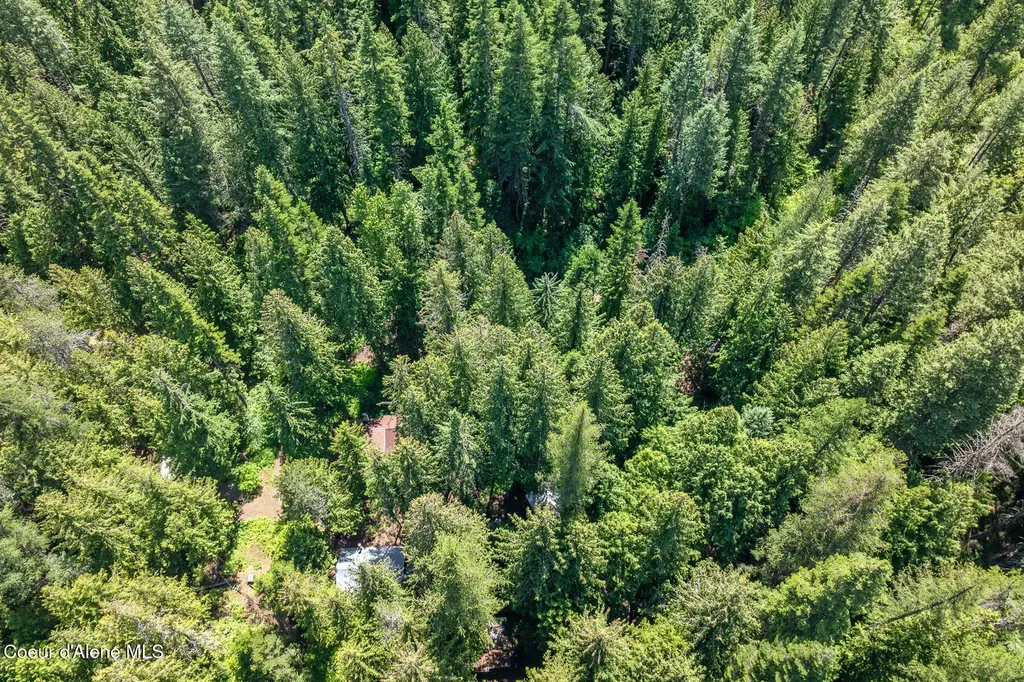 6877 W Lower Excelsior Beach Shore Rathdrum ID 83858