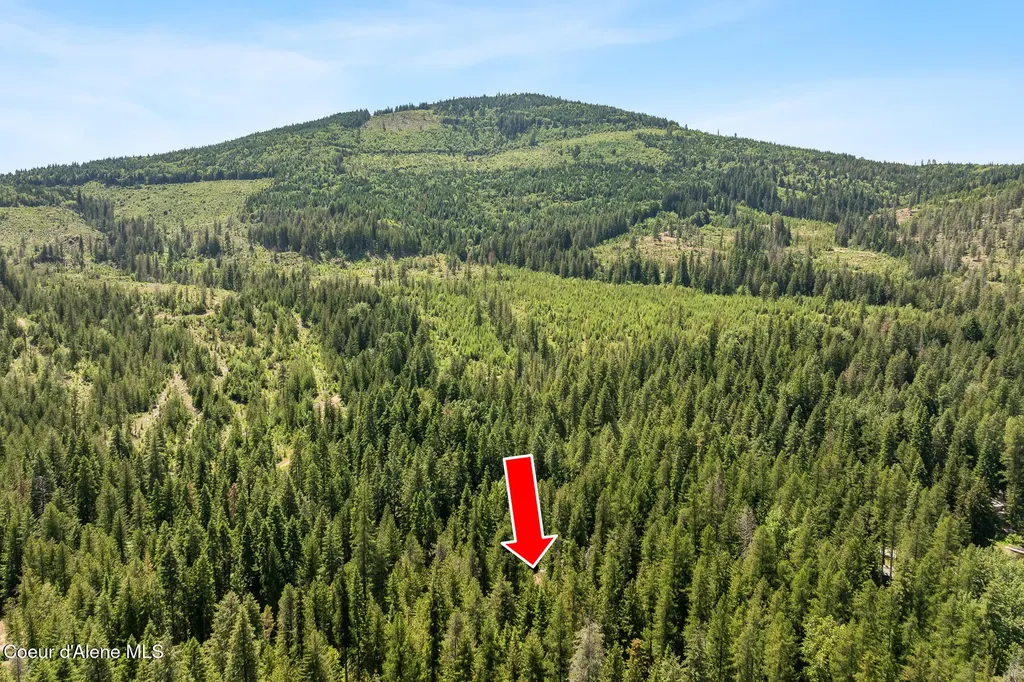 6877 W Lower Excelsior Beach Shore Rathdrum ID 83858