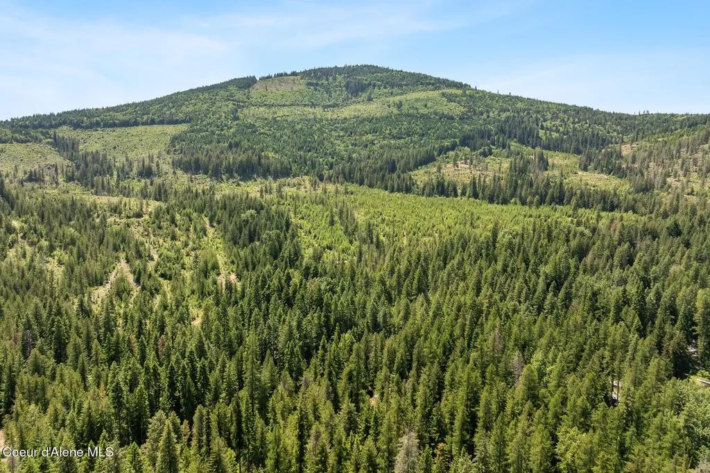 6877 W Lower Excelsior Beach Shore Rathdrum ID 83858