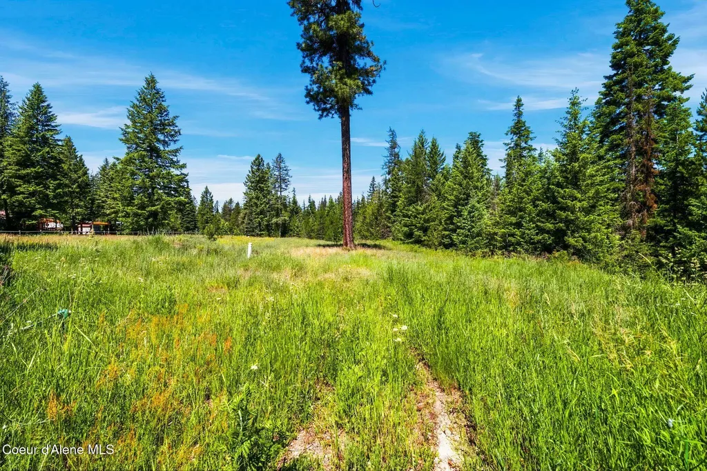 435 Shady Pines Loop Priest Lake ID 83856