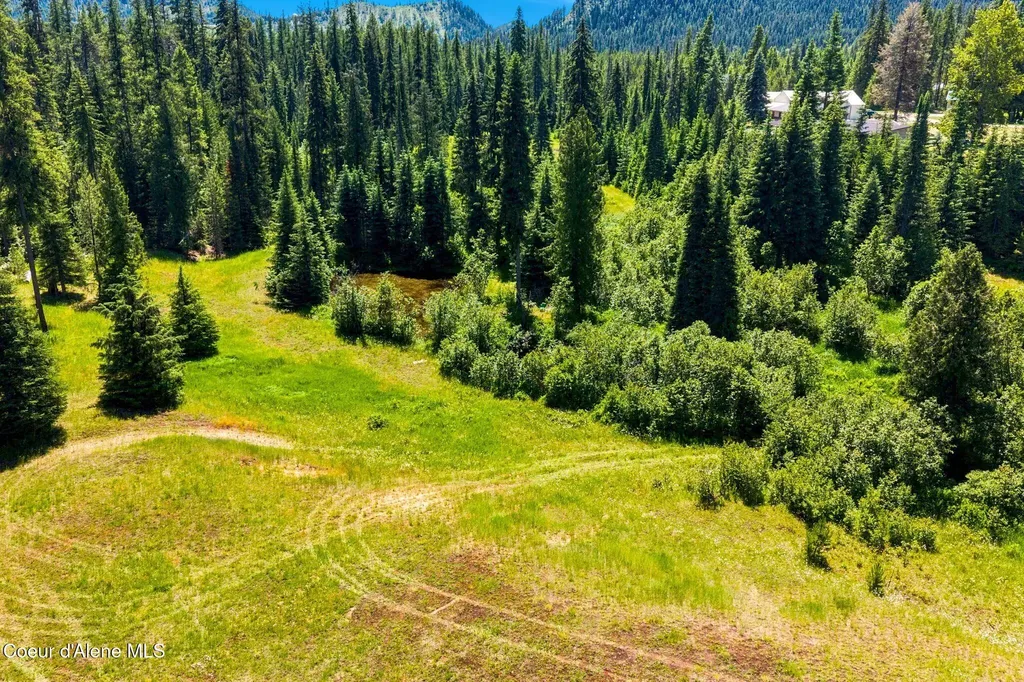 435 Shady Pines Loop Priest Lake ID 83856