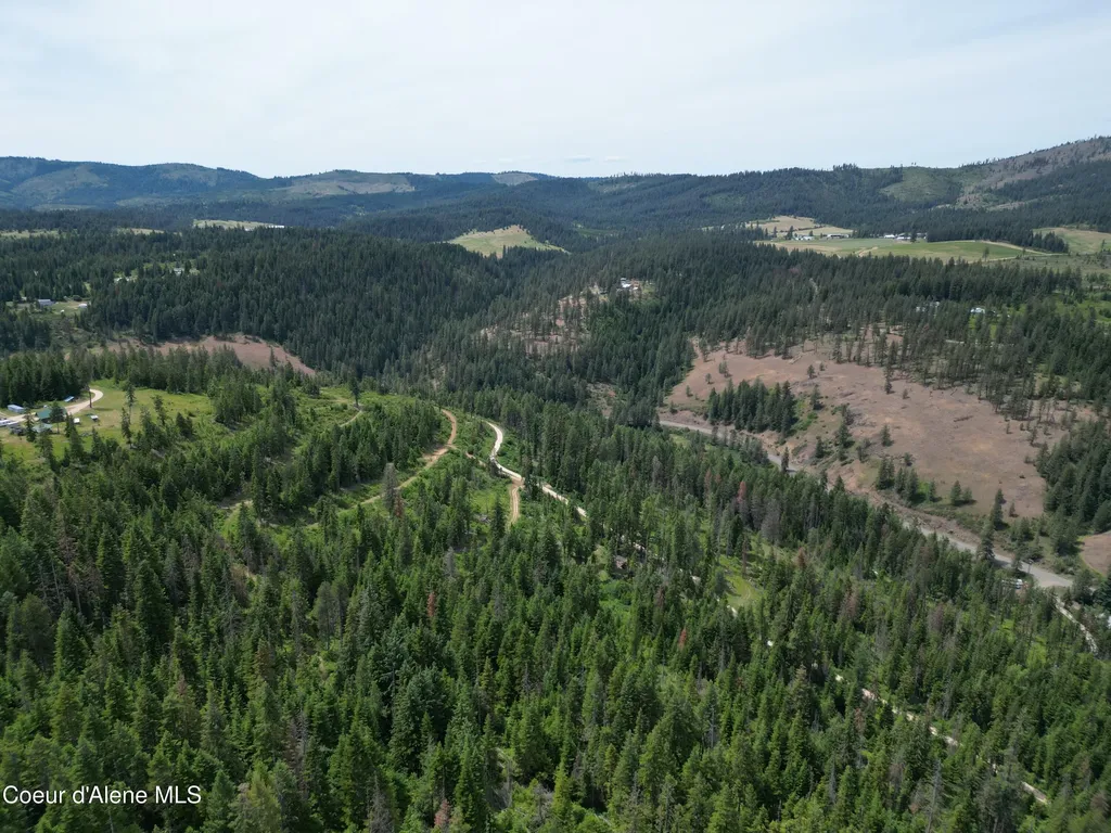 Blake Creek Road St. Maries ID 83861