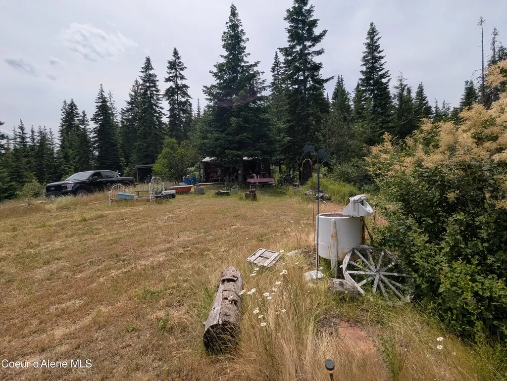 Blake Creek Road St. Maries ID 83861