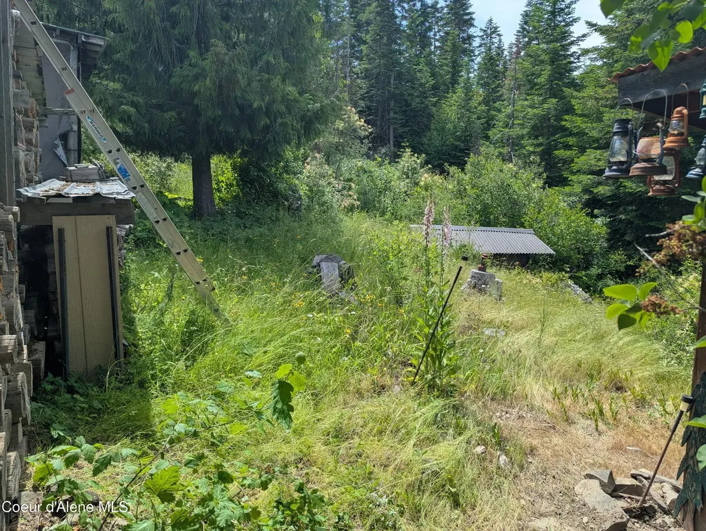 Blake Creek Road St. Maries ID 83861
