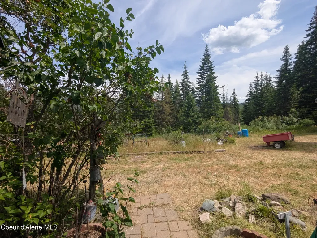 Blake Creek Road St. Maries ID 83861