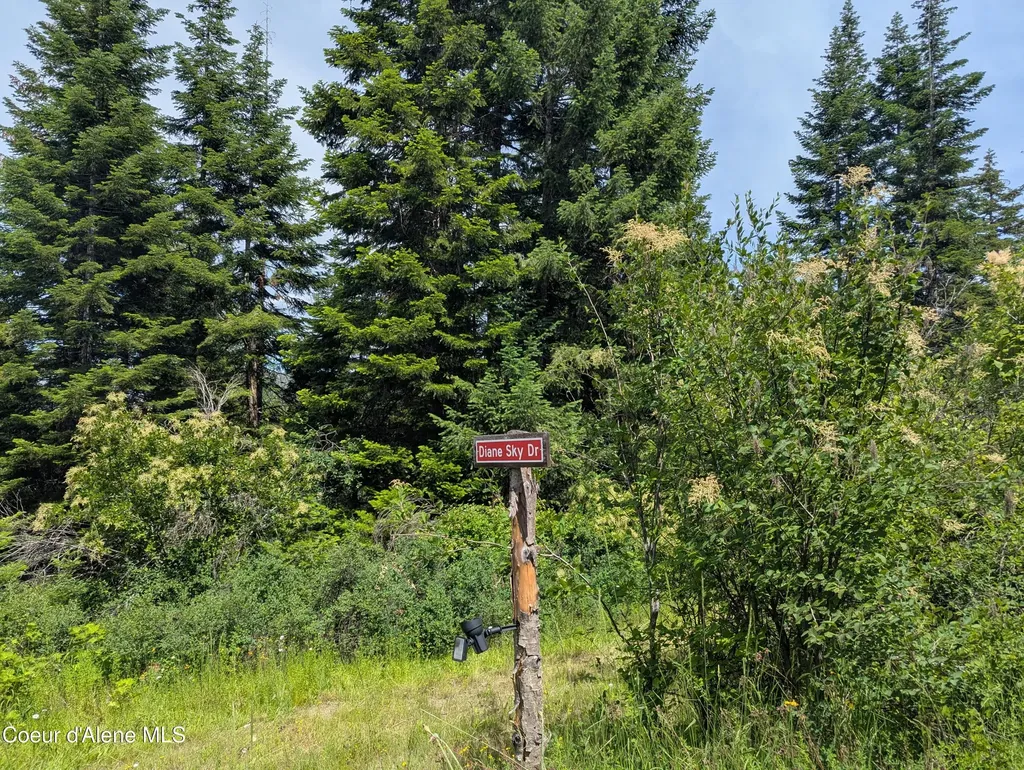 Blake Creek Road St. Maries ID 83861