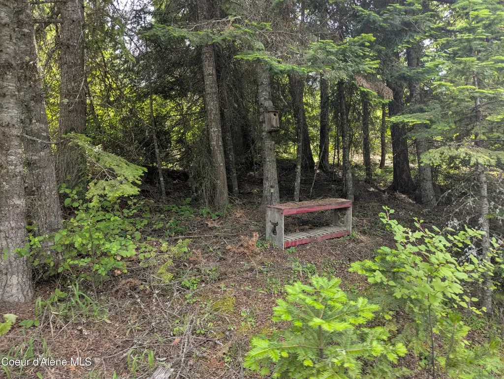 Blake Creek Road St. Maries ID 83861