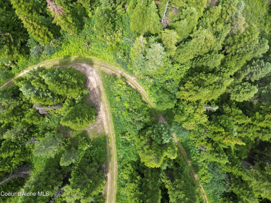 Blake Creek Road St. Maries ID 83861