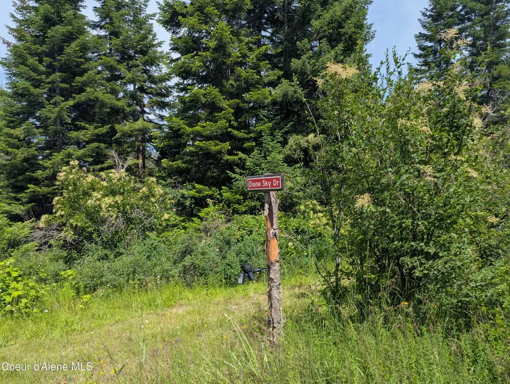 Blake Creek Road St. Maries ID 83861