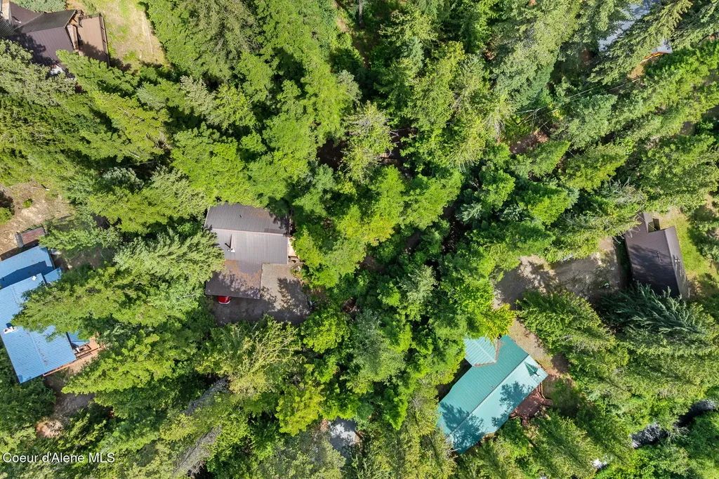 51 Paradise Lane Priest Lake ID 83856