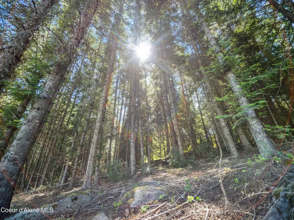 447 S Beaver Lake Road Athol ID 83801