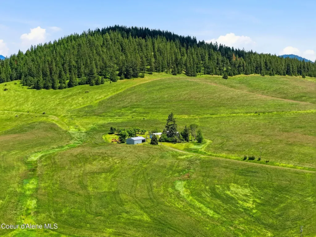 2157 W Rolling Hills Road Worley ID 83876