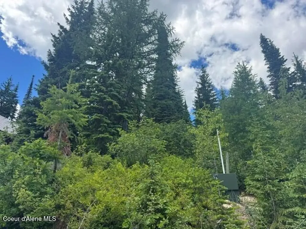 Nna Tall Timber Sandpoint ID 83864