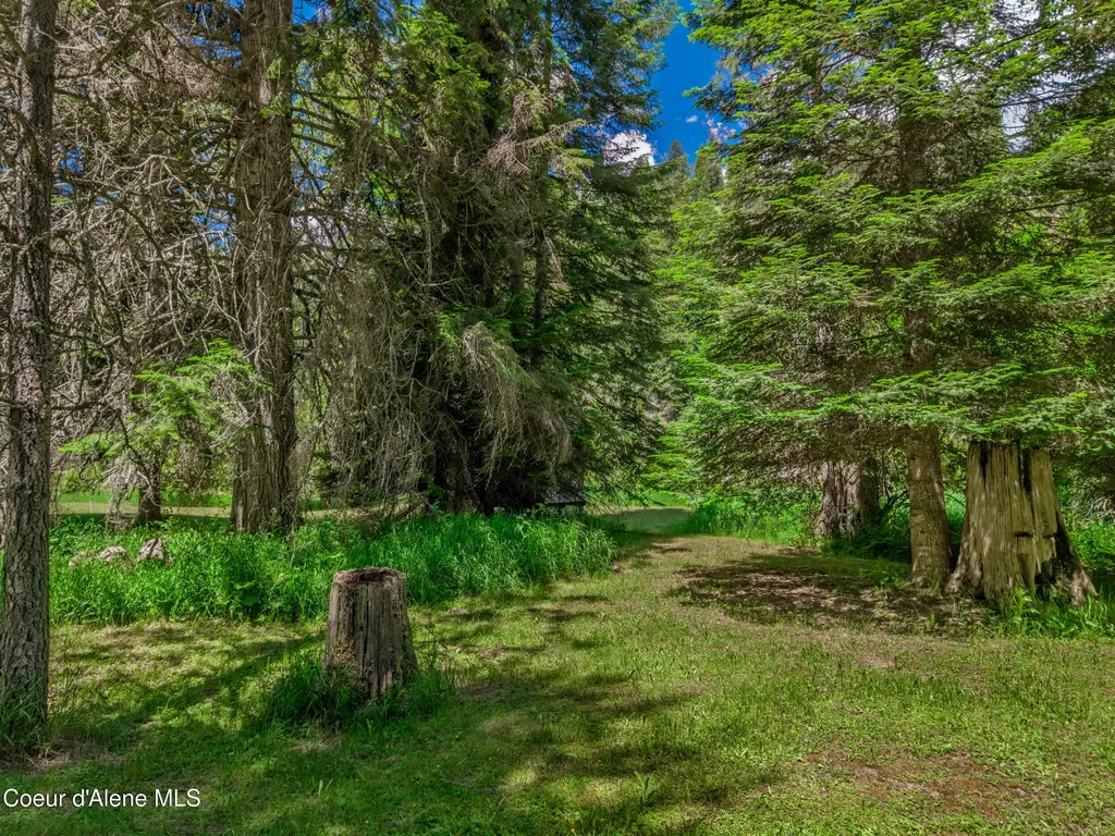 30839 St Joe River Road Calder ID 83808