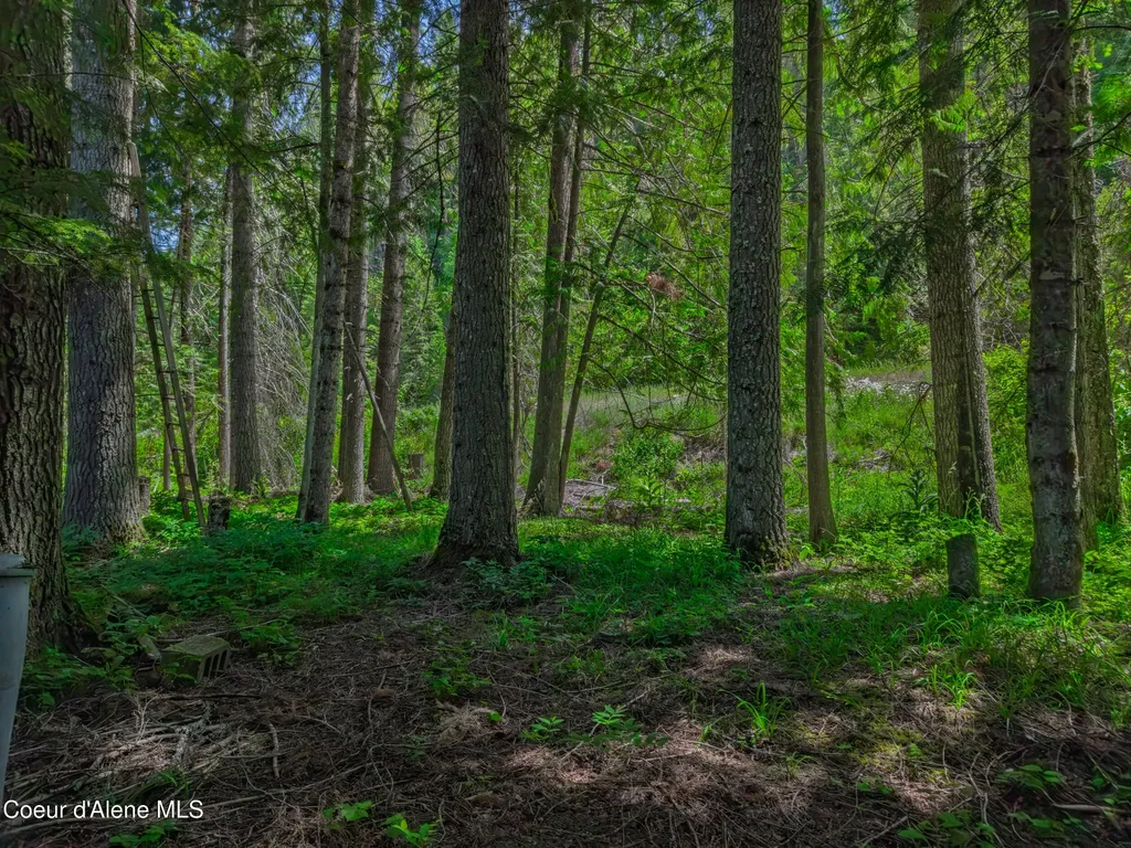 30839 St Joe River Road Calder ID 83808