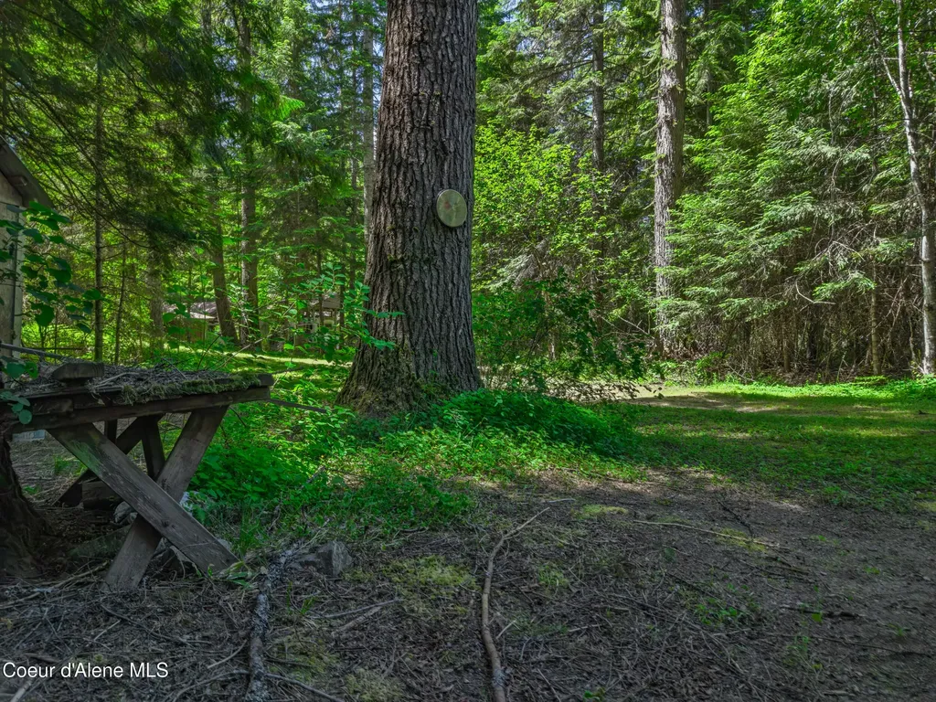 30839 St Joe River Road Calder ID 83808
