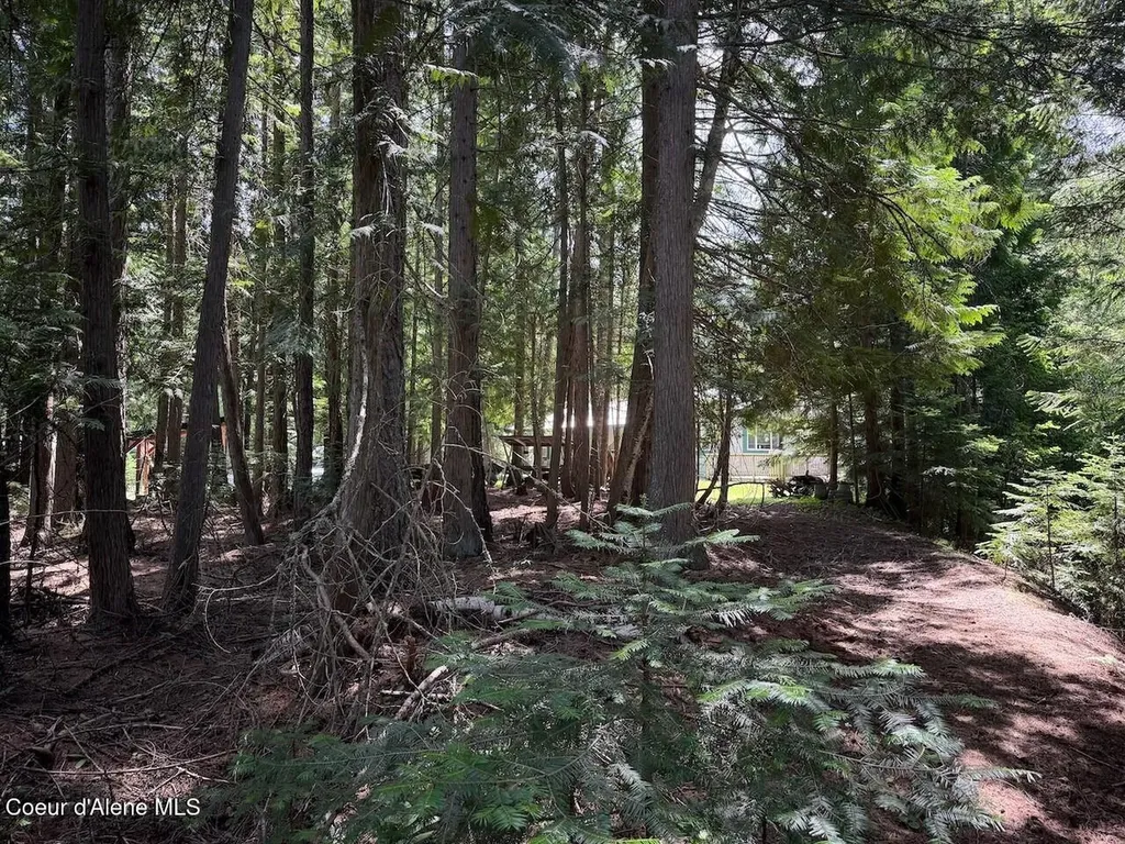 Nna B St Blk 3 Lot 2 Sandpoint ID 83864