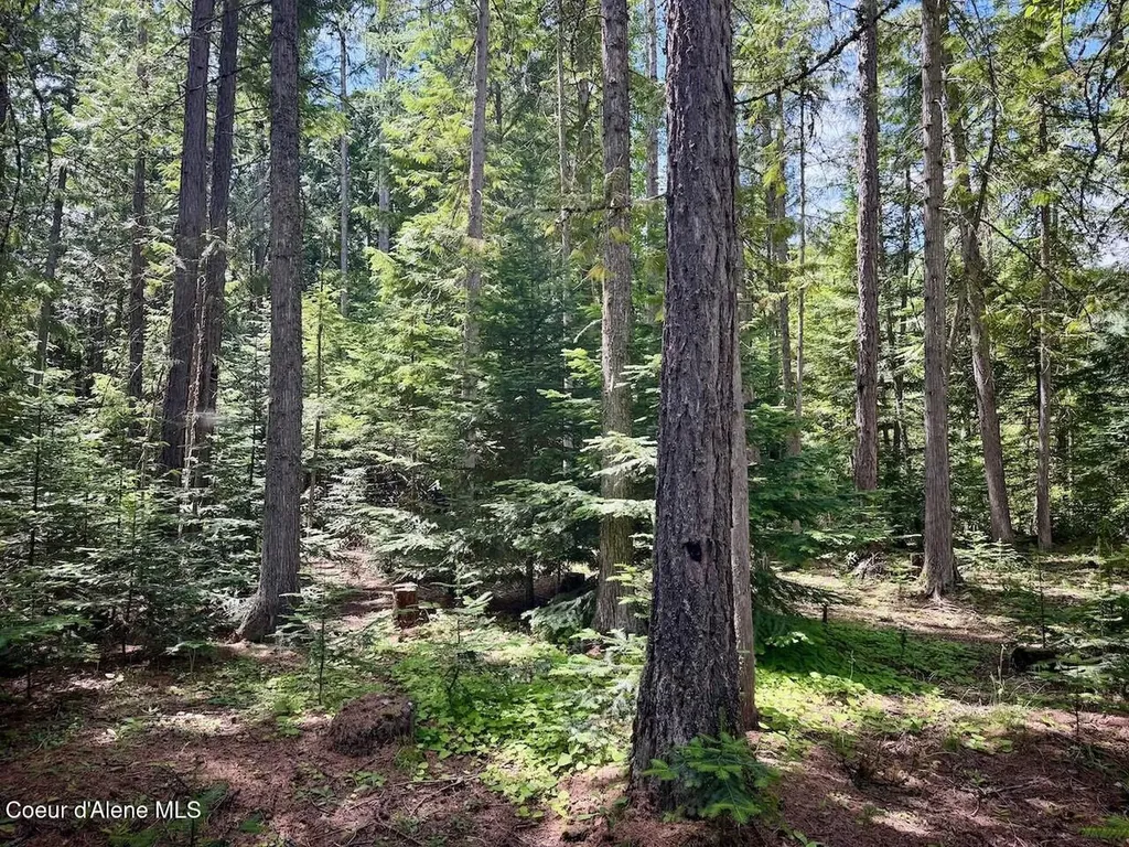Nna B St Blk 3 Lot 2 Sandpoint ID 83864