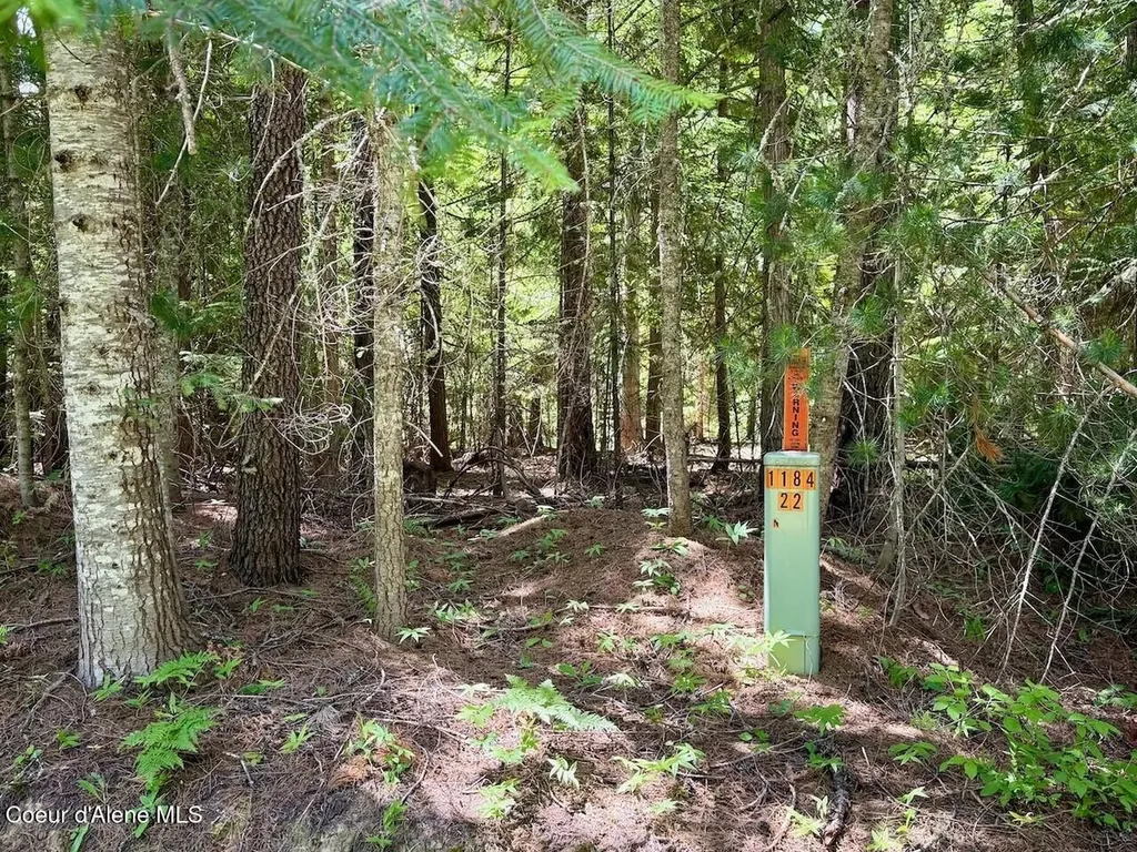Nna B St Blk 3 Lot 2 Sandpoint ID 83864