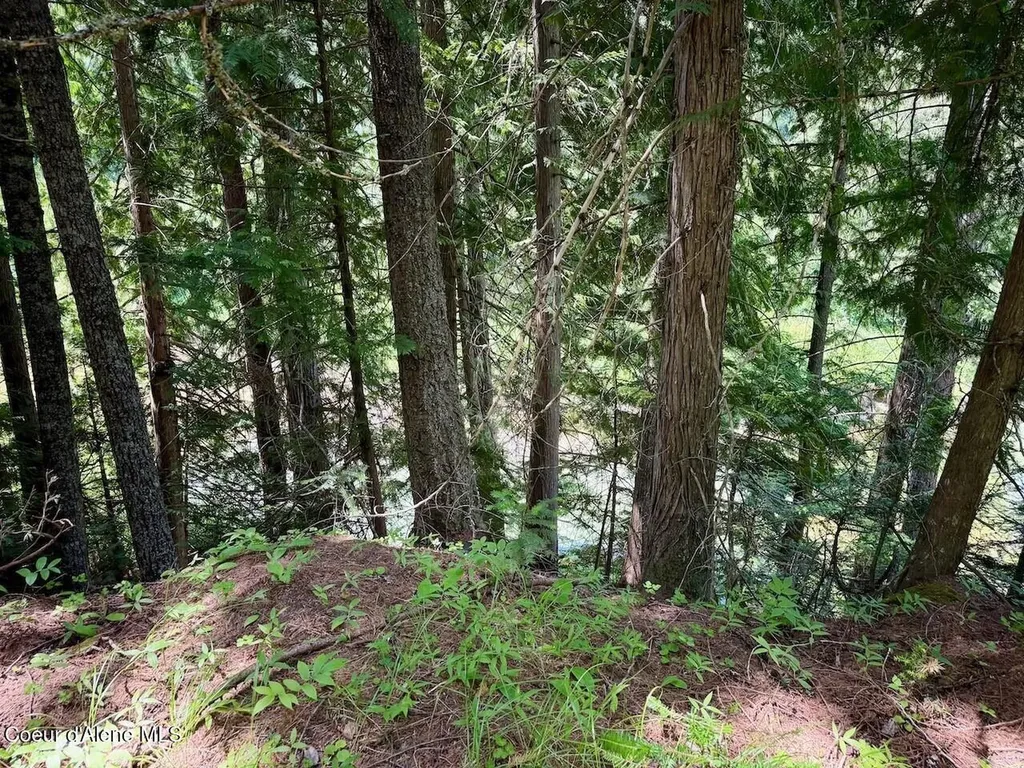 Nna B St Blk 3 Lot 2 Sandpoint ID 83864