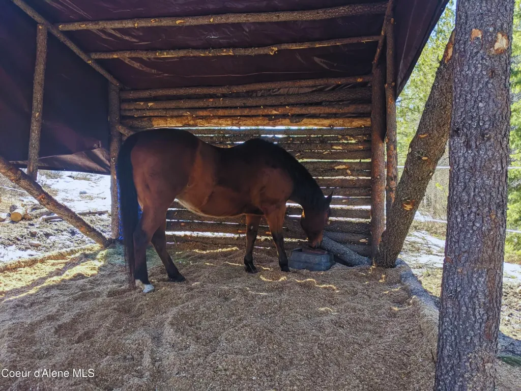 34517 N Hayden Drive Spirit Lake ID 83869