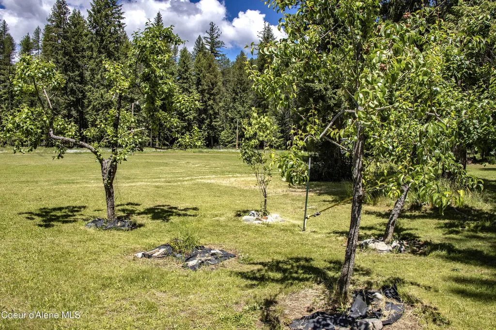 2 Rose Woods Lane Noxon MT 59853