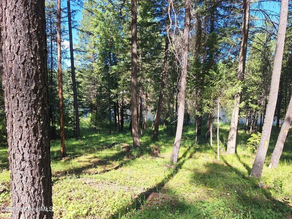 Nna Hanaford Road Blk 3 Lot 7 Blanchard ID 83804