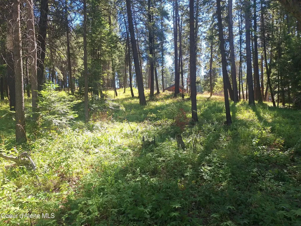 Nna Hanaford Road Blk 3 Lot 17 Blanchard ID 83804