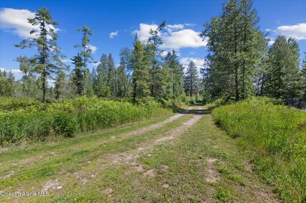 12 Hulett Hill Drive Sandpoint ID 83864