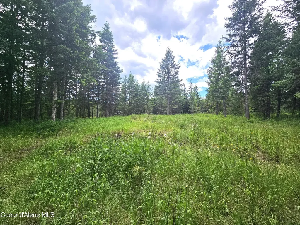 7248 E Honeysuckle Road Athol ID 83801