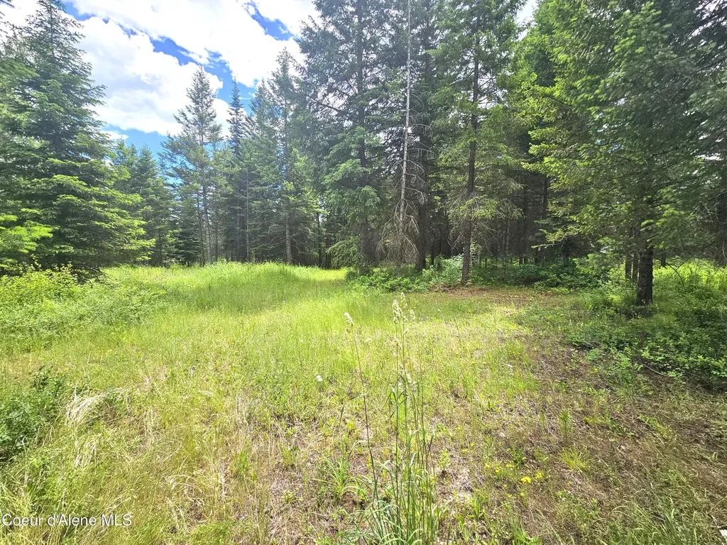 7248 E Honeysuckle Road Athol ID 83801