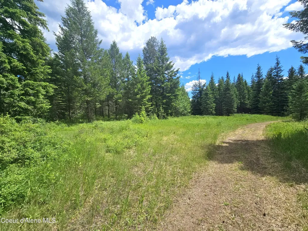 7248 E Honeysuckle Road Athol ID 83801
