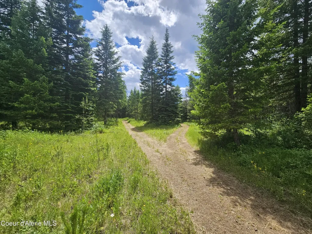 7248 E Honeysuckle Road Athol ID 83801