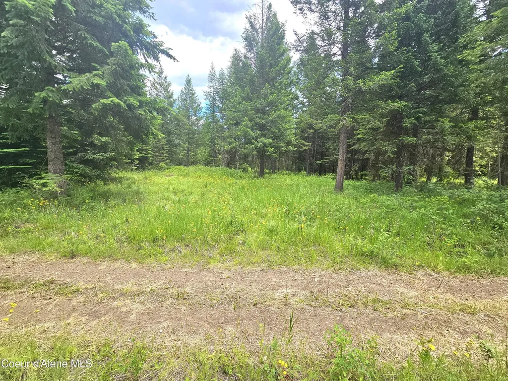 7248 E Honeysuckle Road Athol ID 83801